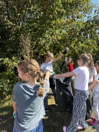 d8dfa3d3-a498-4ff5-af22-7499eba17657